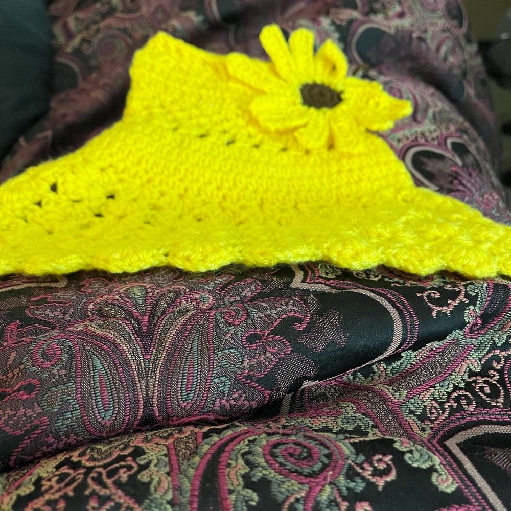 Pet dress either for a dog or a cat